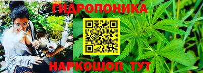 jwh Будённовск