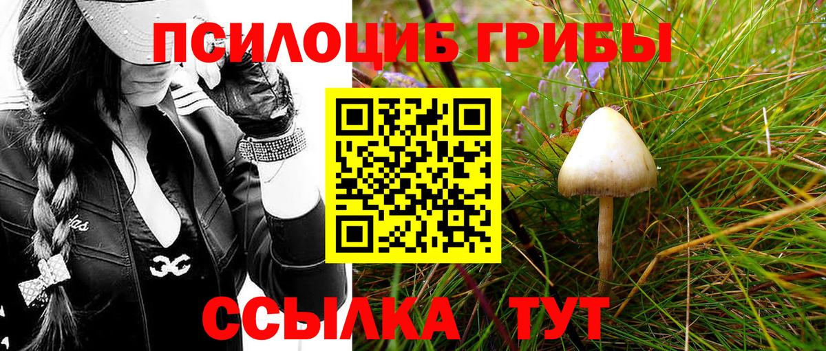 Псилоцибиновые грибы Cubensis  Вход с VPN  Галлюциногенные грибы GOLDEN TEACHER  где купить наркоту  Салехард 